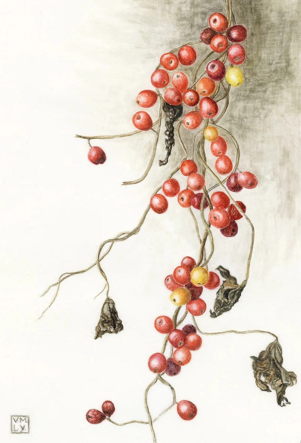 Winter hedgerow, Monknash