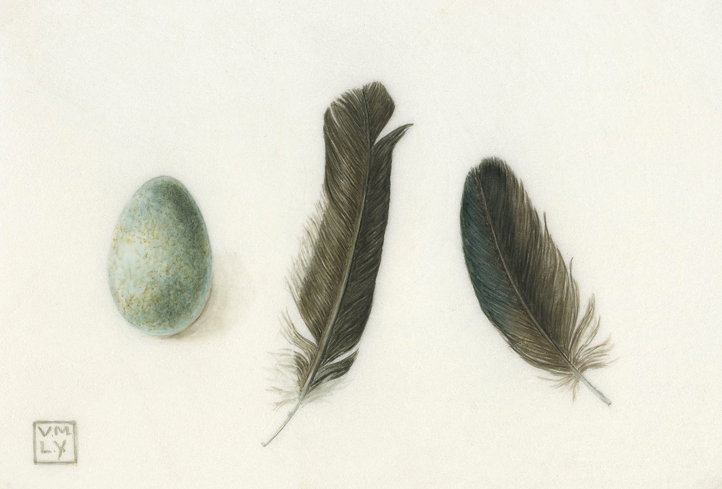 Egg, two feathers