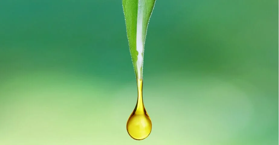 CBD Market Expected to Grow Thanks to E-commerce