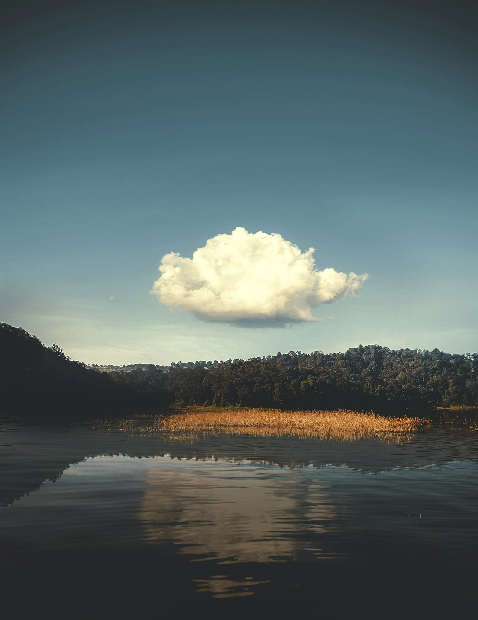 unsplash-image-oalS6SkZc_s.jpg