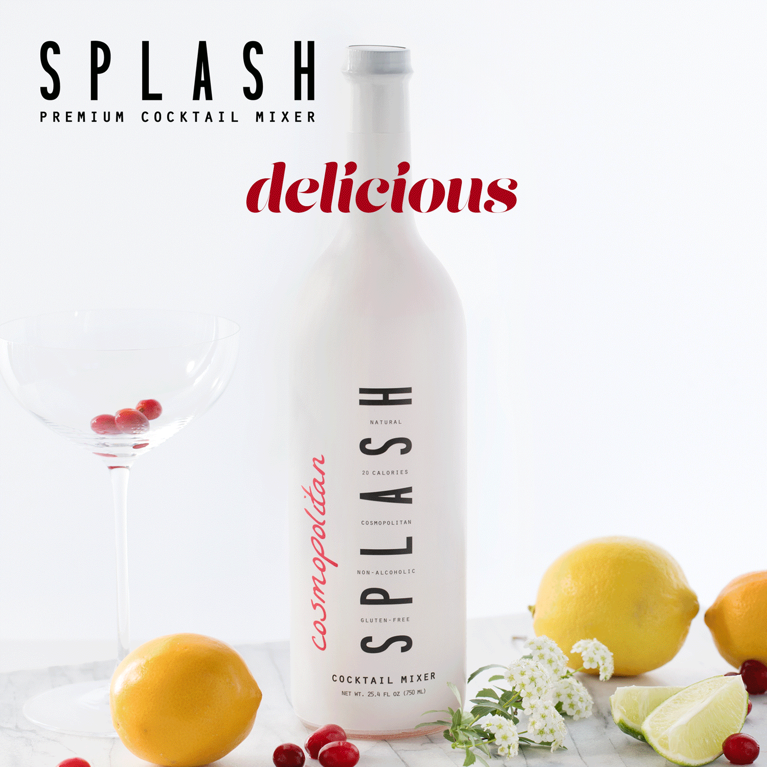 Splash-Mixers_Instragram-Ad_GIF_v5.gif