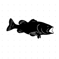 NSA FISH LOGO.png