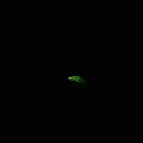 splash_01.gif