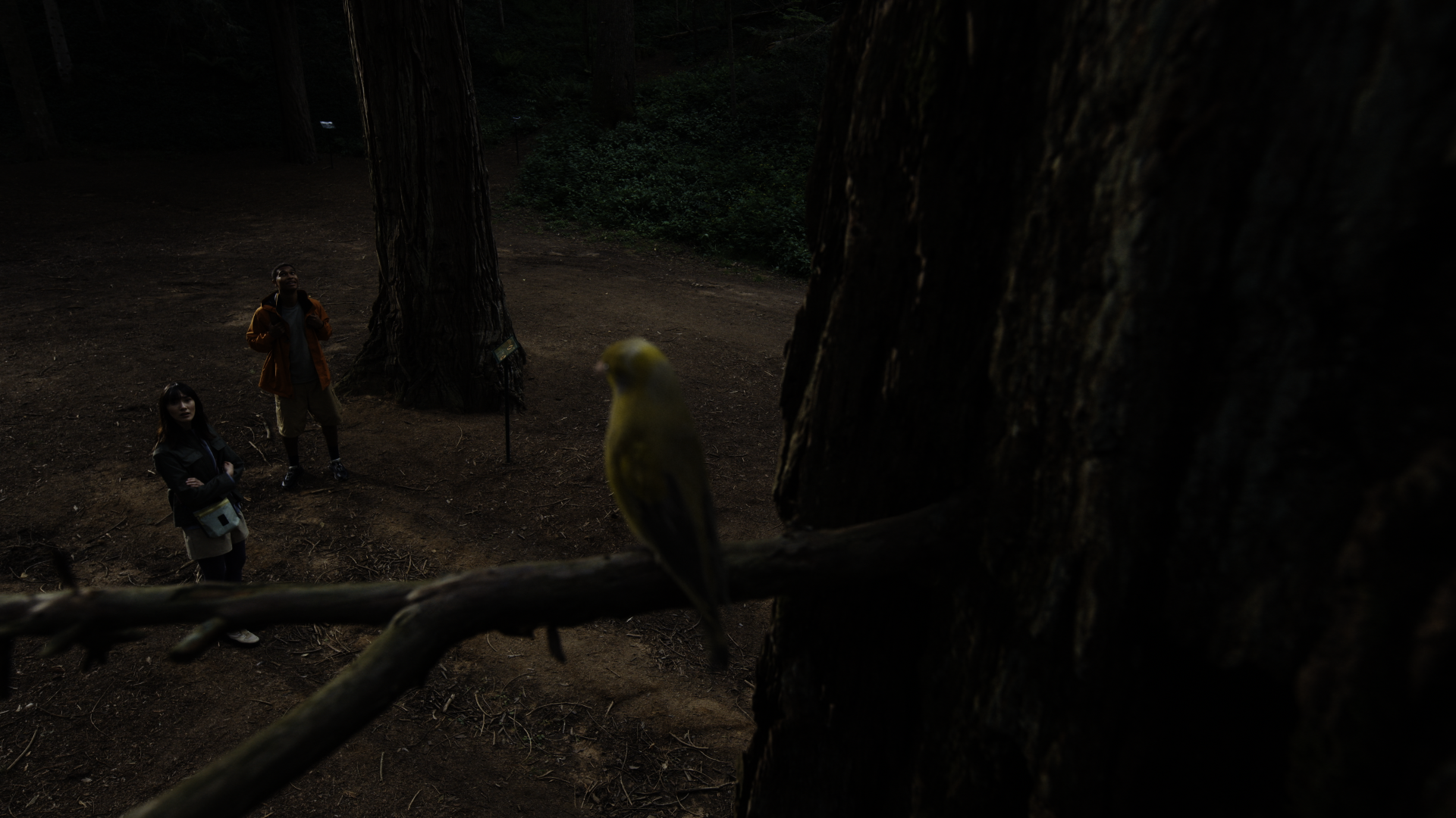 CS_THUMB_01.png