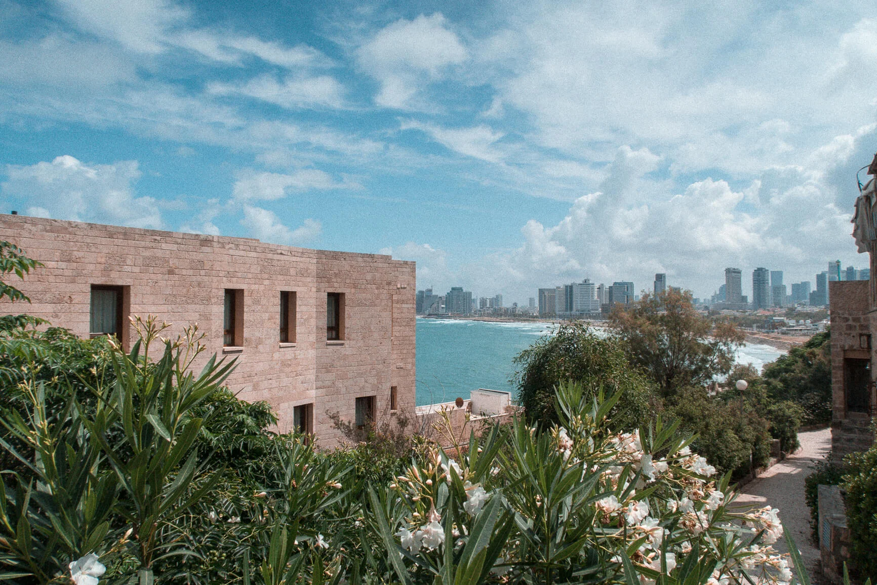 JAFFA YAFA YAFO