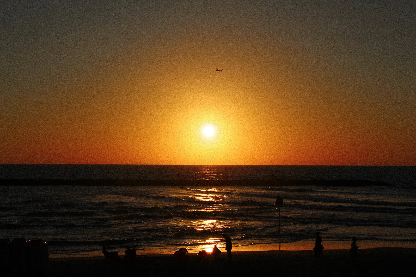 IMG_8118.jpg