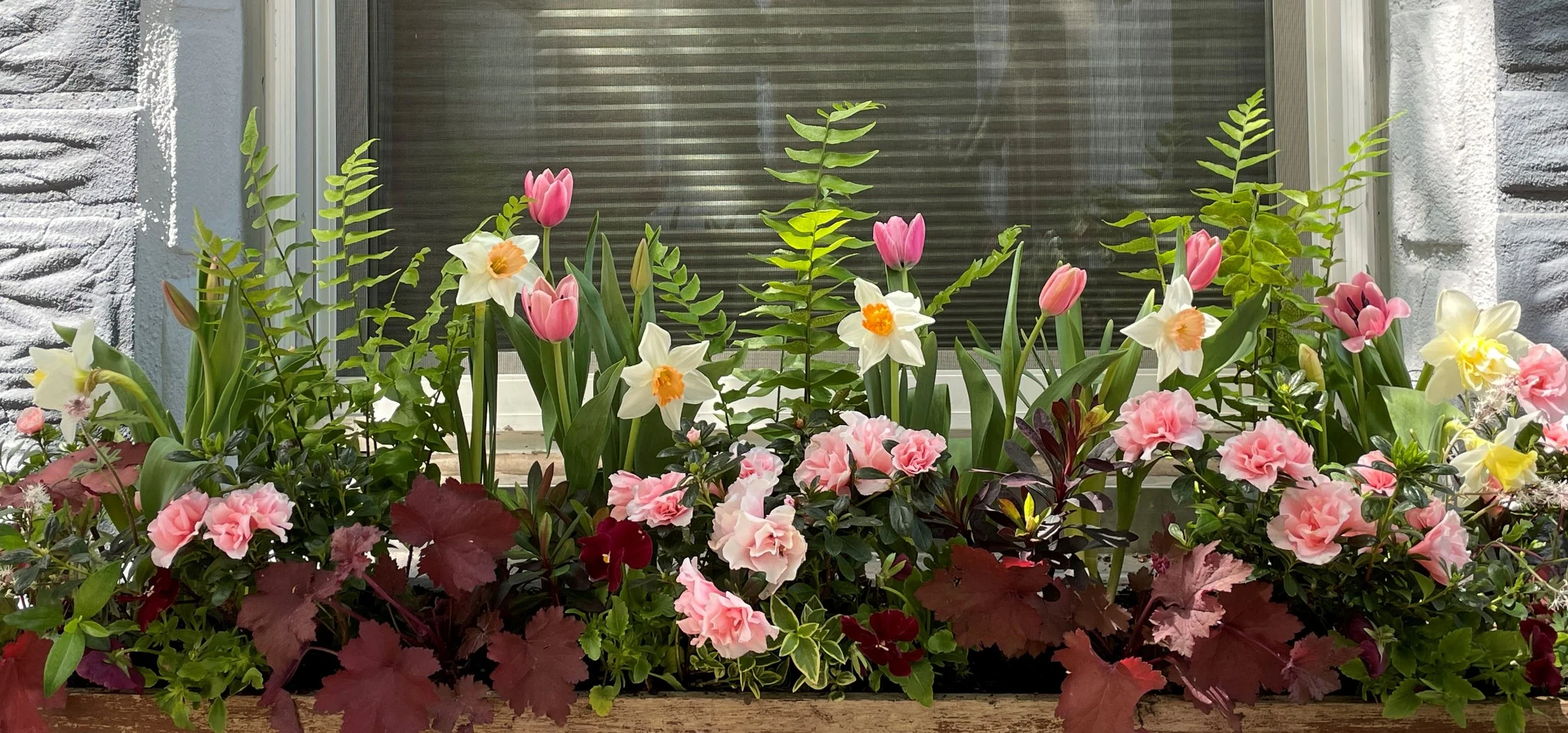 Window Boxes — Belk Gardens