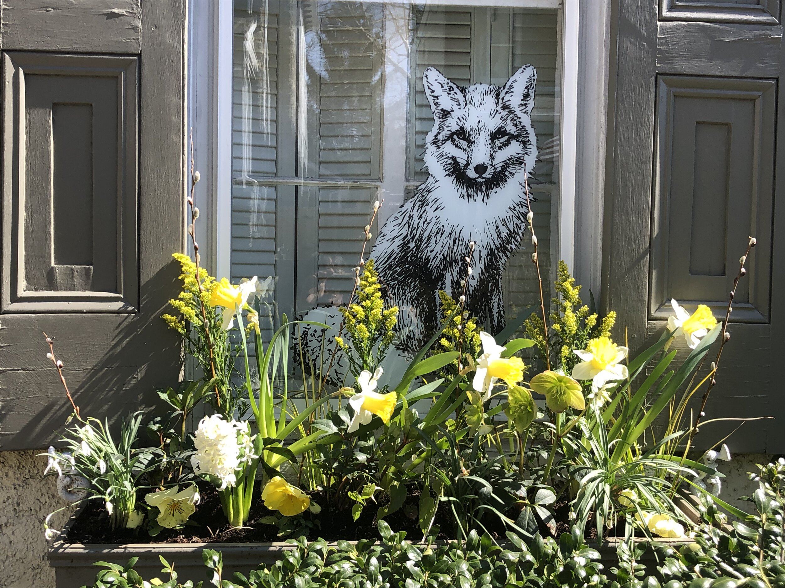 Window Boxes — Belk Gardens