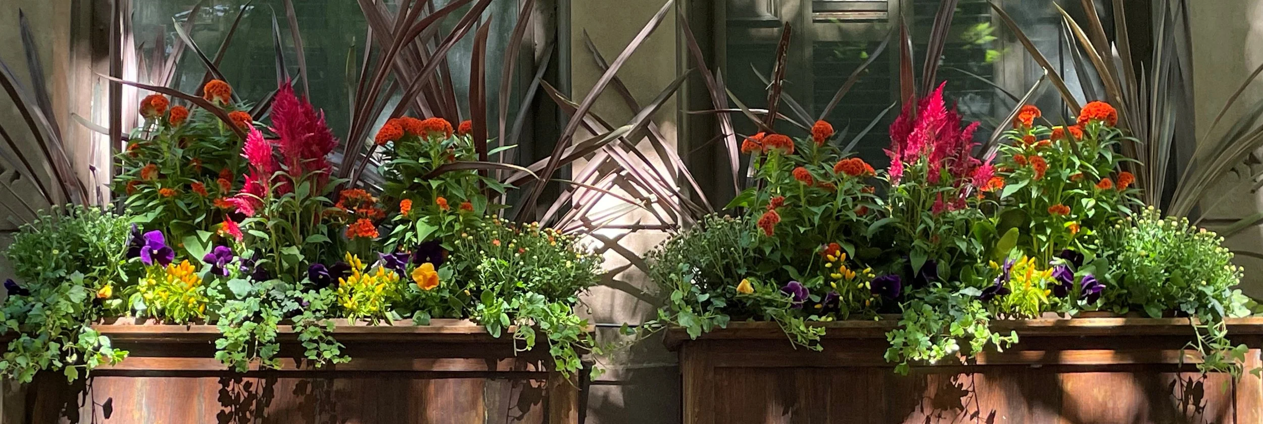 Window Boxes — Belk Gardens