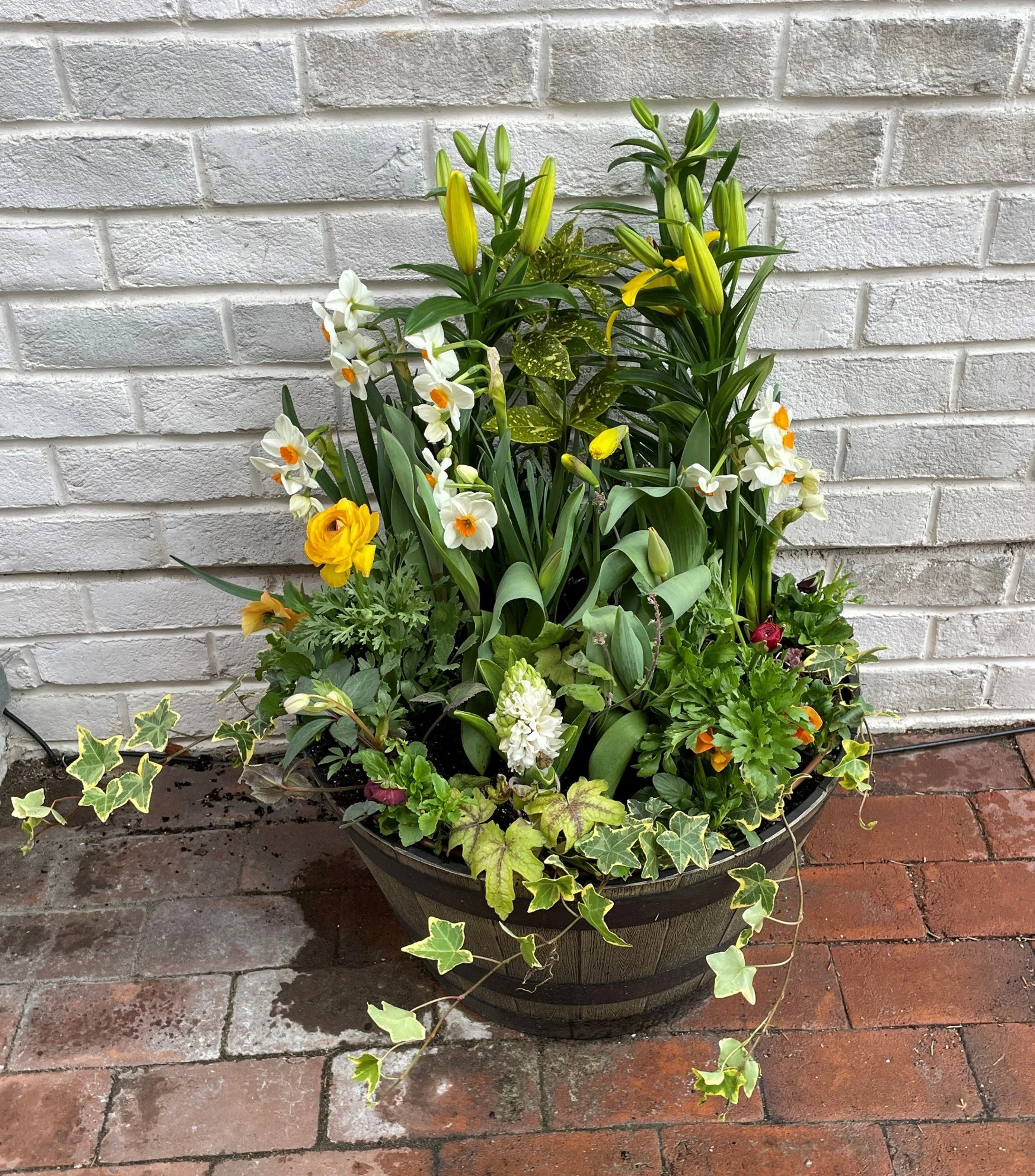 Window Boxes — Belk Gardens
