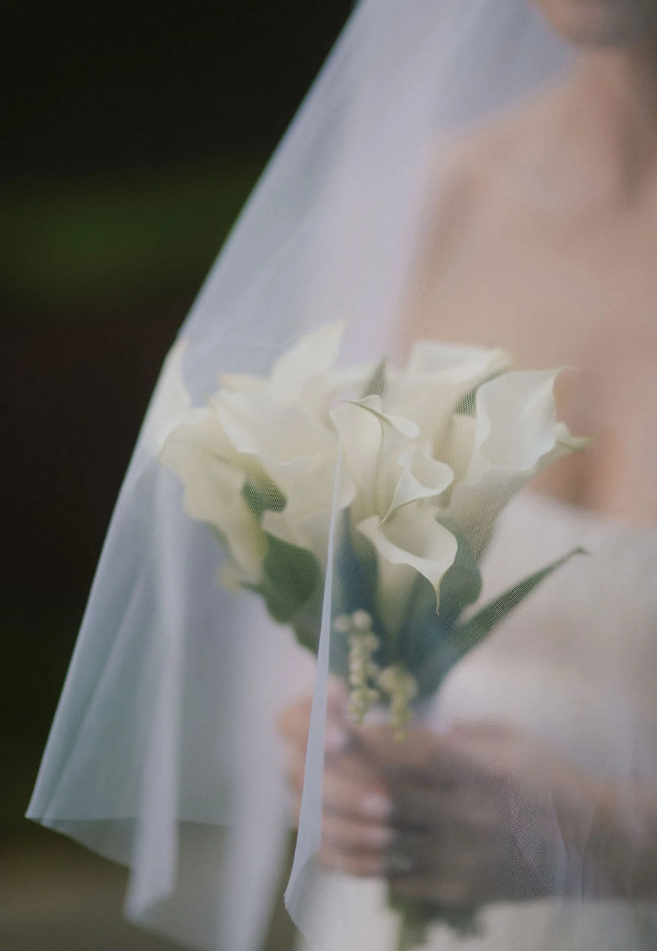 savingPNG - 2025-09-05T175815.534.PNG