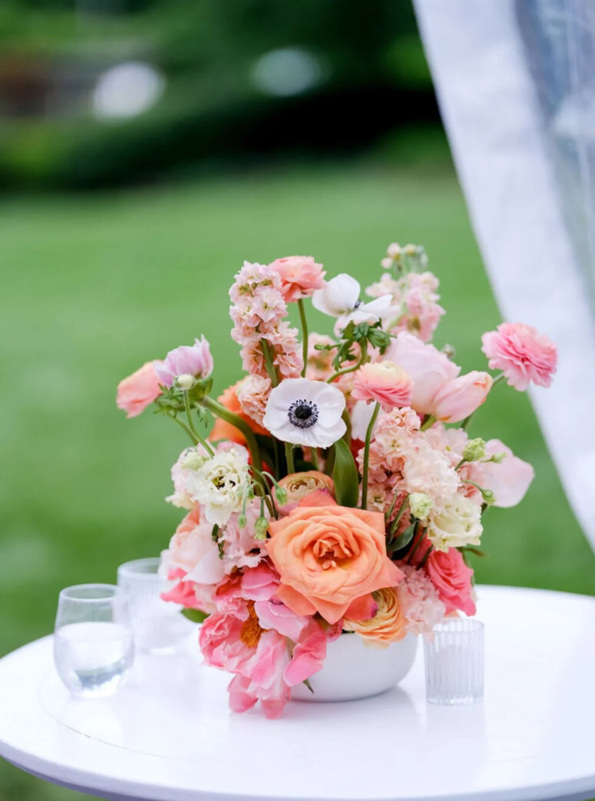 savingPNG - 2025-09-05T180429.033.PNG