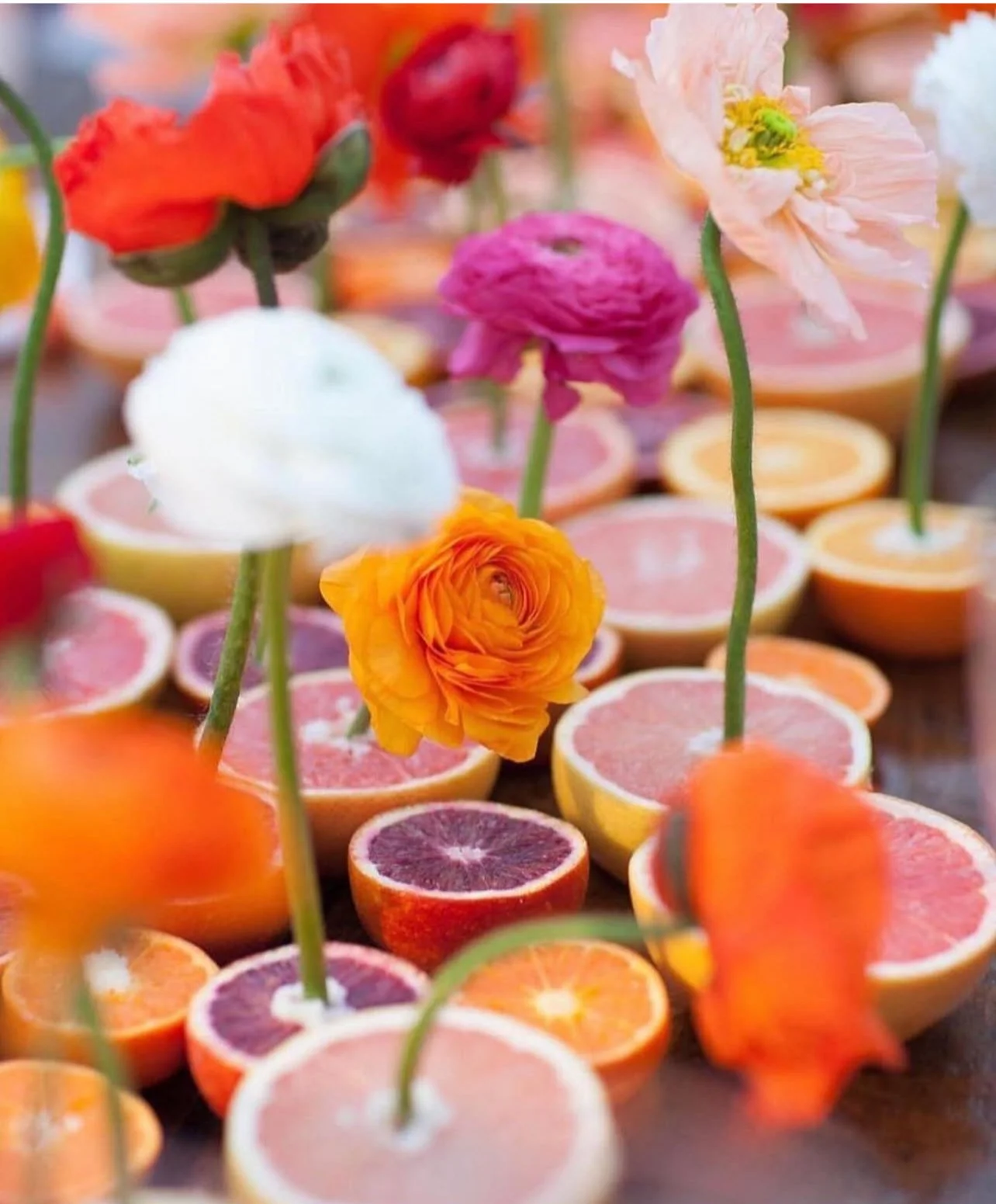 savingPNG - 2025-09-06T142437.622.PNG