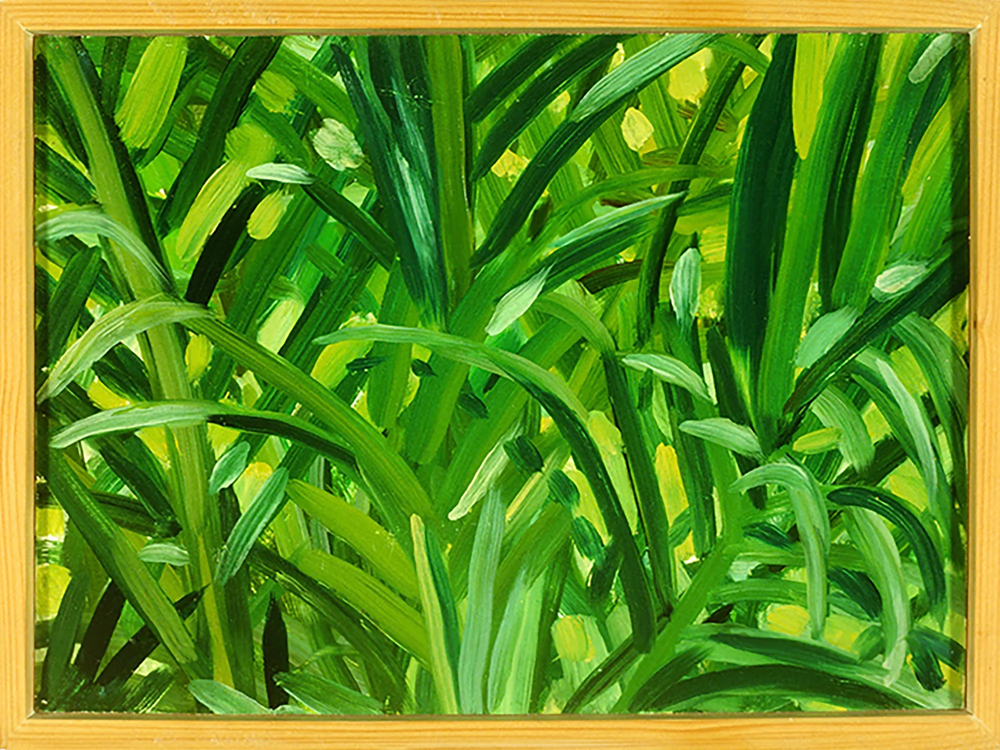 Palms_9 x 12_Z_2.Final.jpg