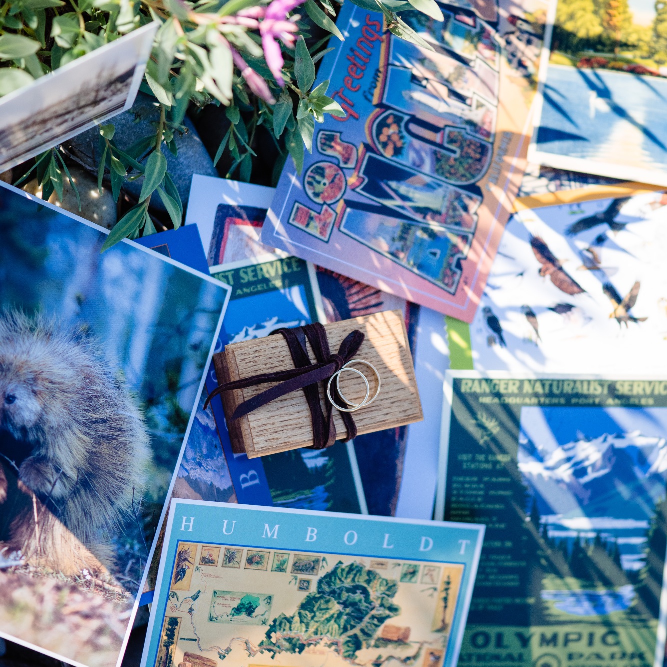 lindseyjanephotography_elope065.jpg