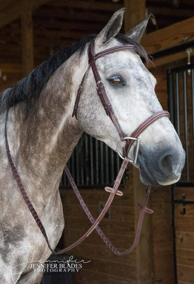 bridle1.jpg