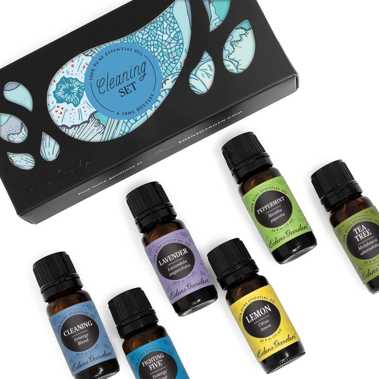essential oils cleaning kit