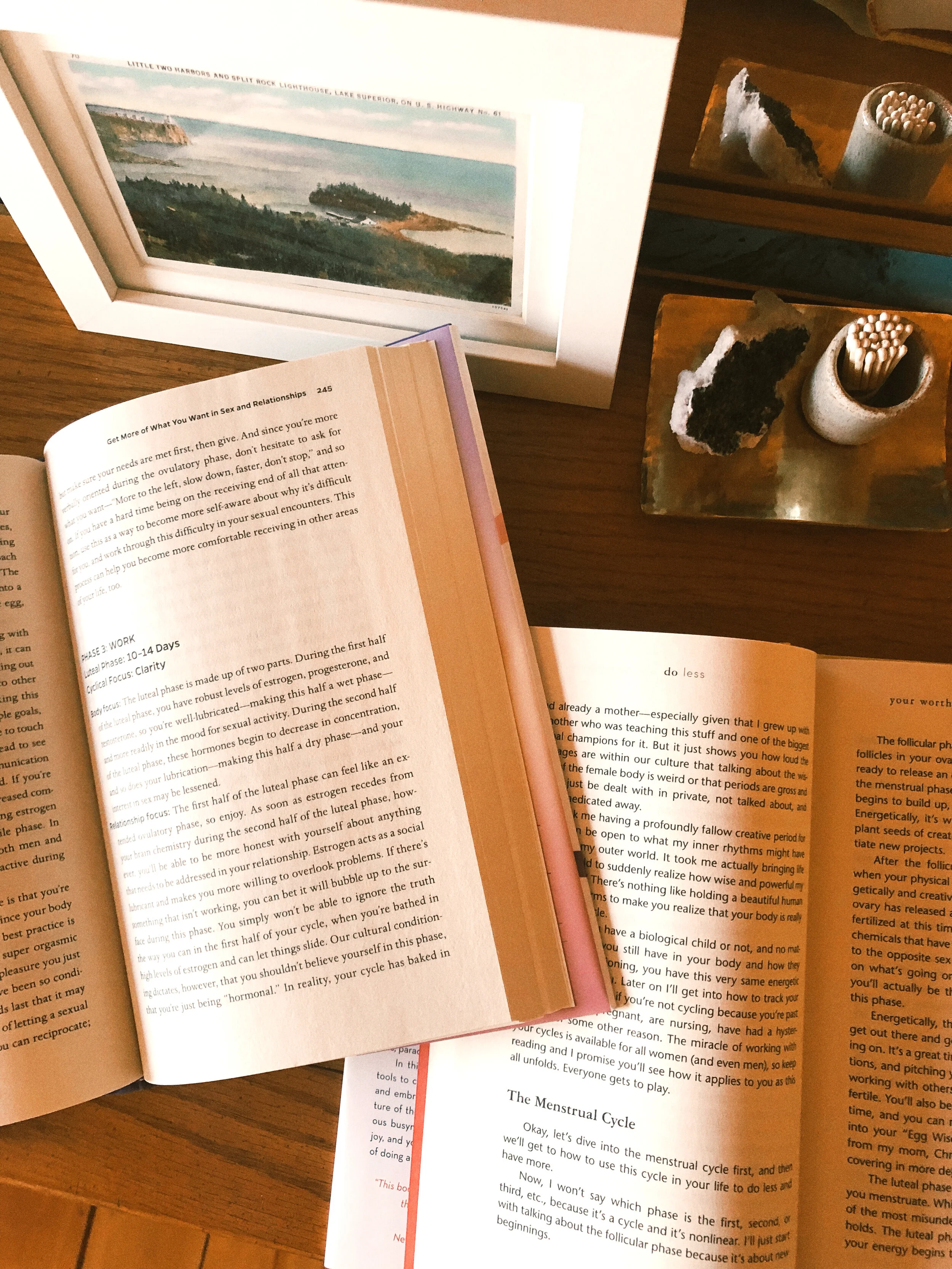 Take Charge of Your Cycle: 4 Period Books That Every Woman Needs to Read