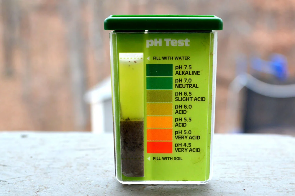 Pill Test.jpg