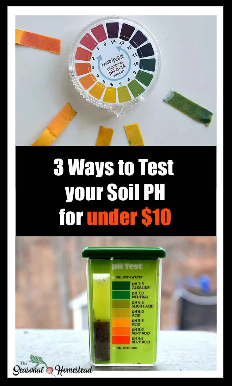 3-ways-to-test-your-soil-ph-for-under-$10-pin.jpg