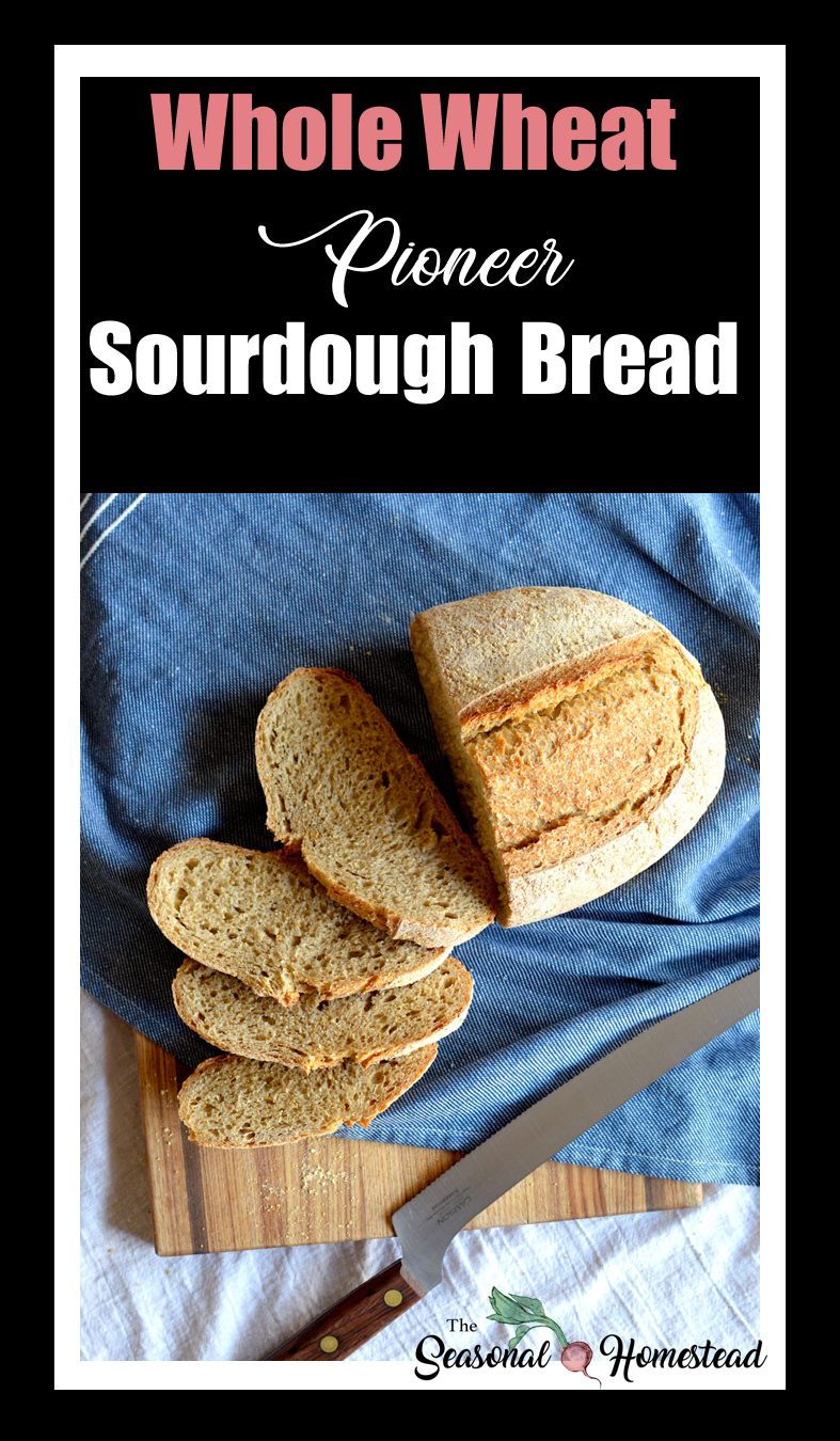 Pioneer Whole Wheat Sourdough Bread - The Seasonal Homestead