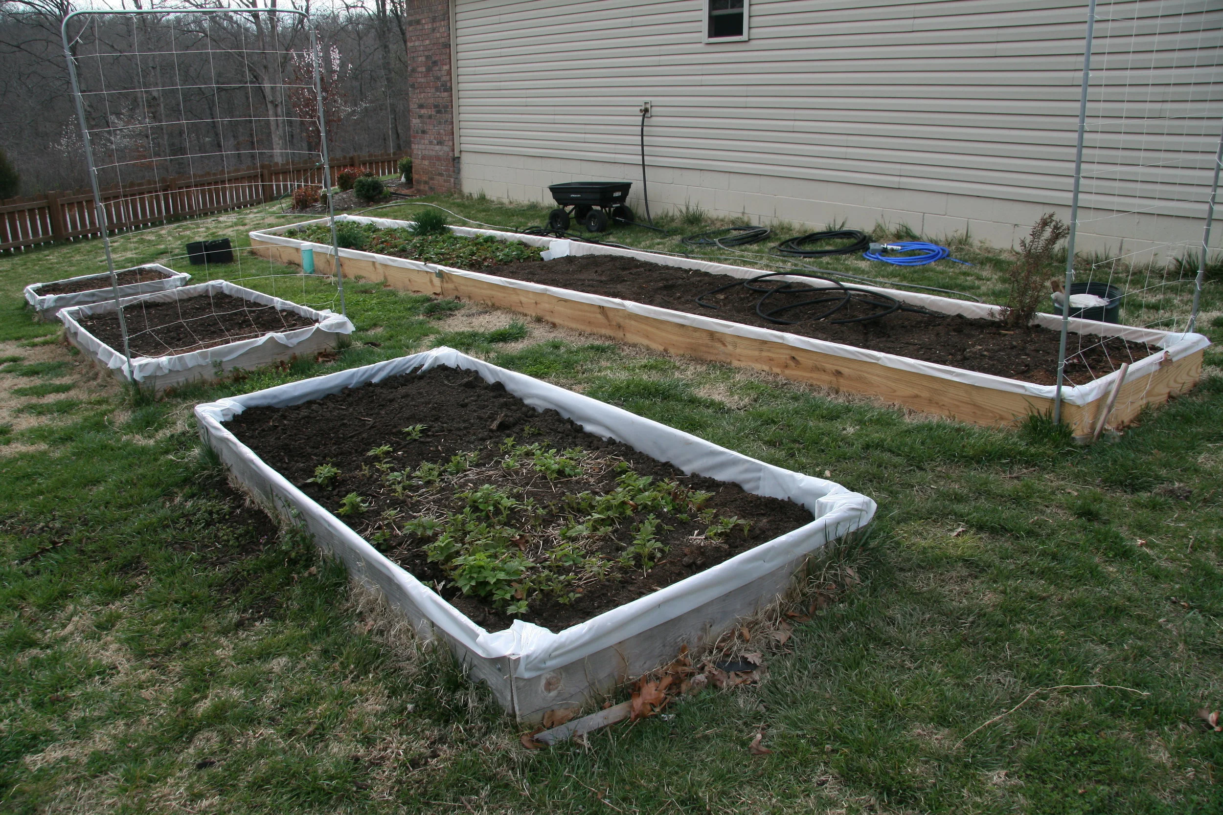 My first Garden, lined with plastic because I didn’t want to spend the money on cedar