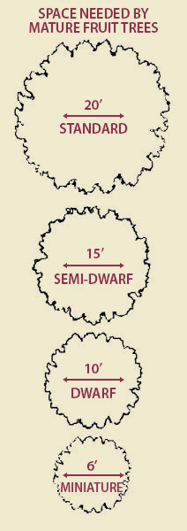 image from Stark Bro’s