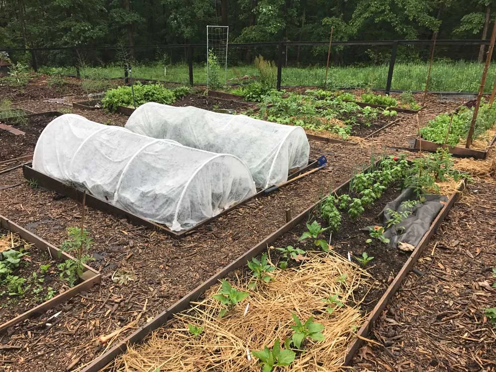 Row-Covers-Agribon.jpg