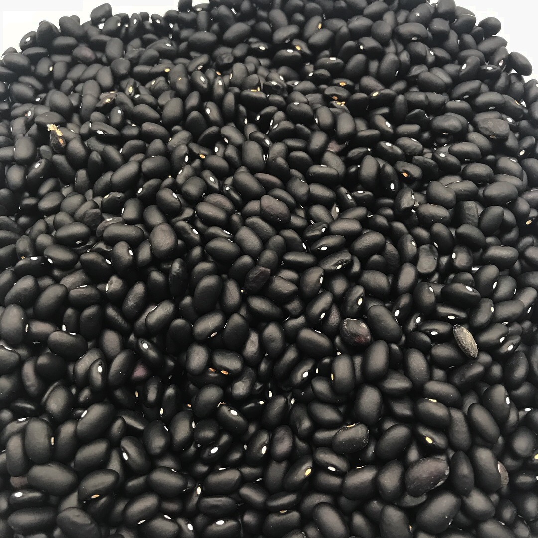  HOmegrown Black Turtle Beans 