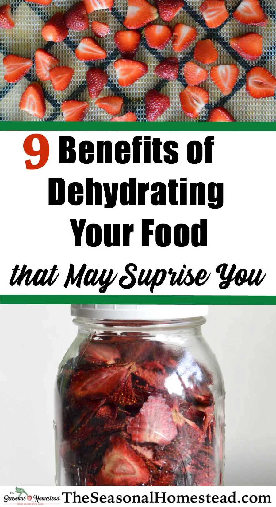 9 Benefits of dehydrating your food that may surprise you.jpg