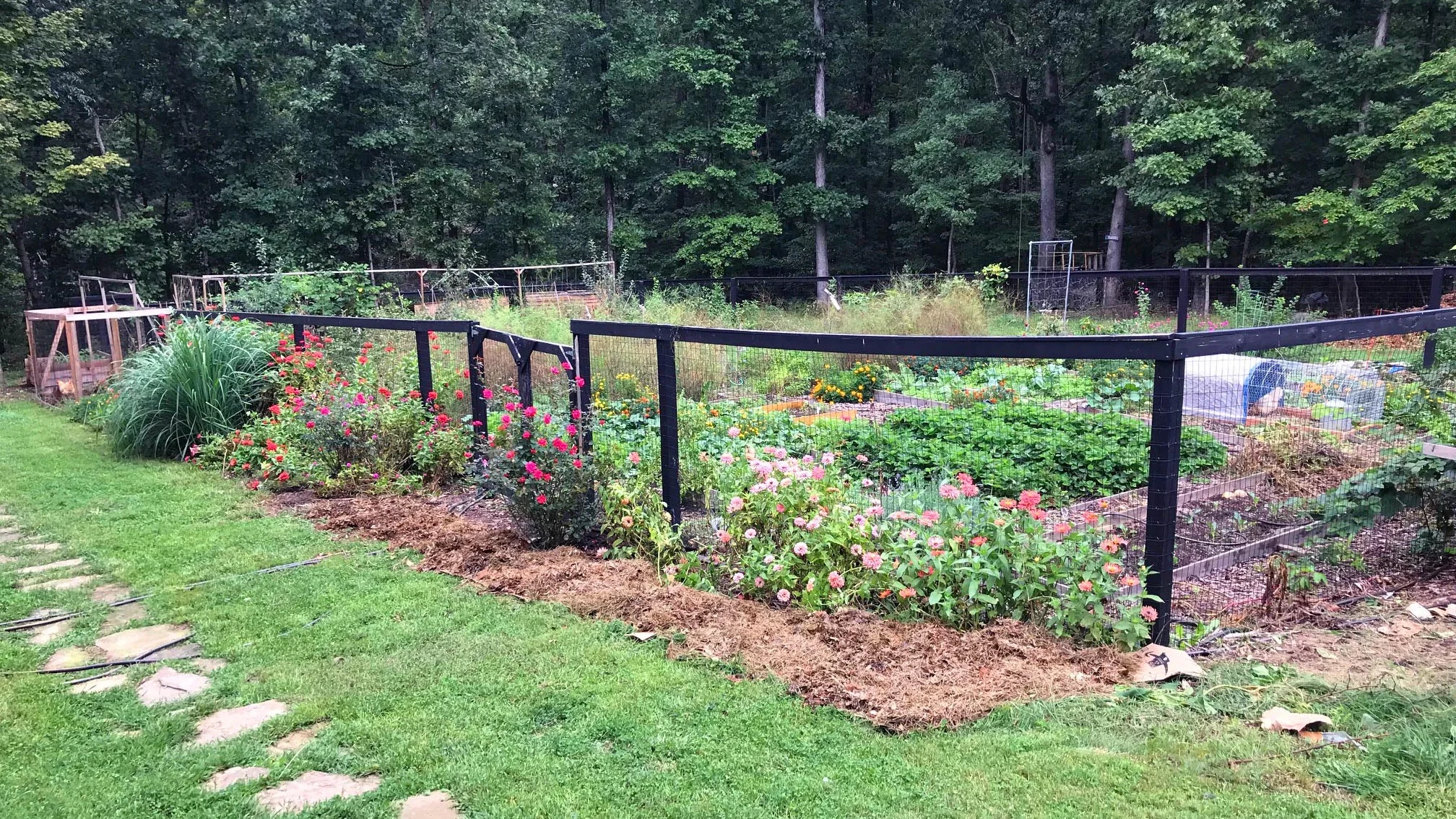 Summer+Garden.jpg