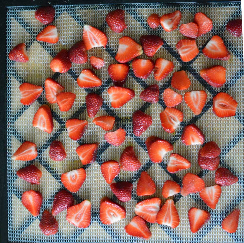 Before Dehydrating Strawberries