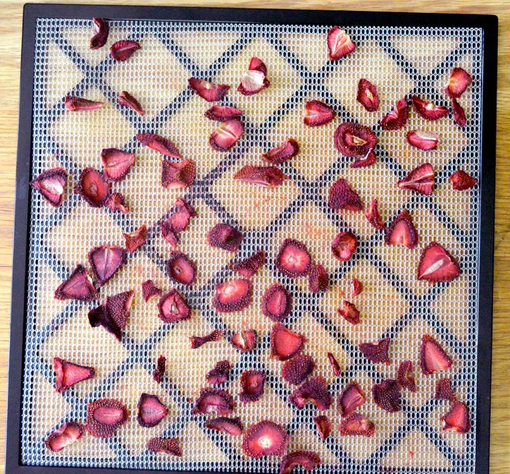 After Dehydrating Strawberries