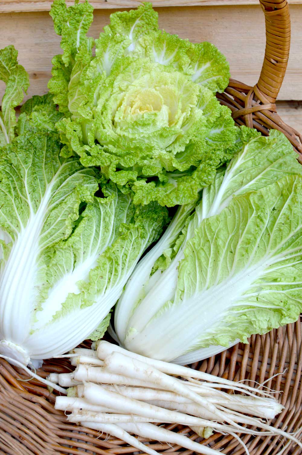  Kimchi Ingredients from the garden 