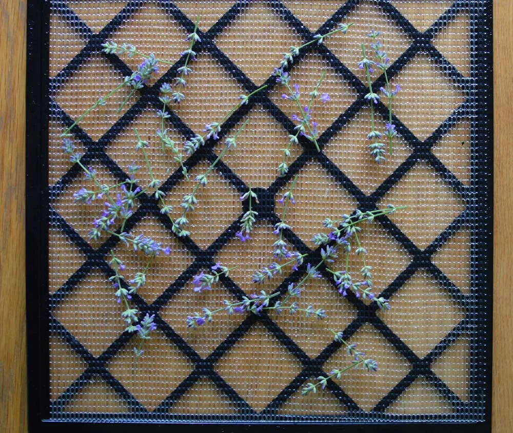 Lavender On Dehydrator Trays