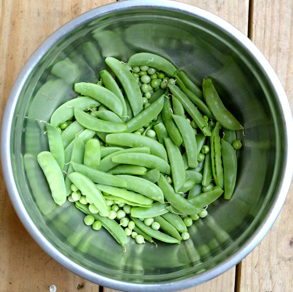 Snap-Peas-2.jpg