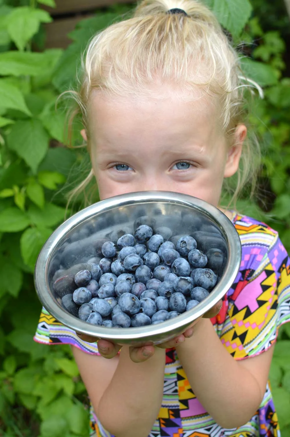 Blueberries2019.jpg