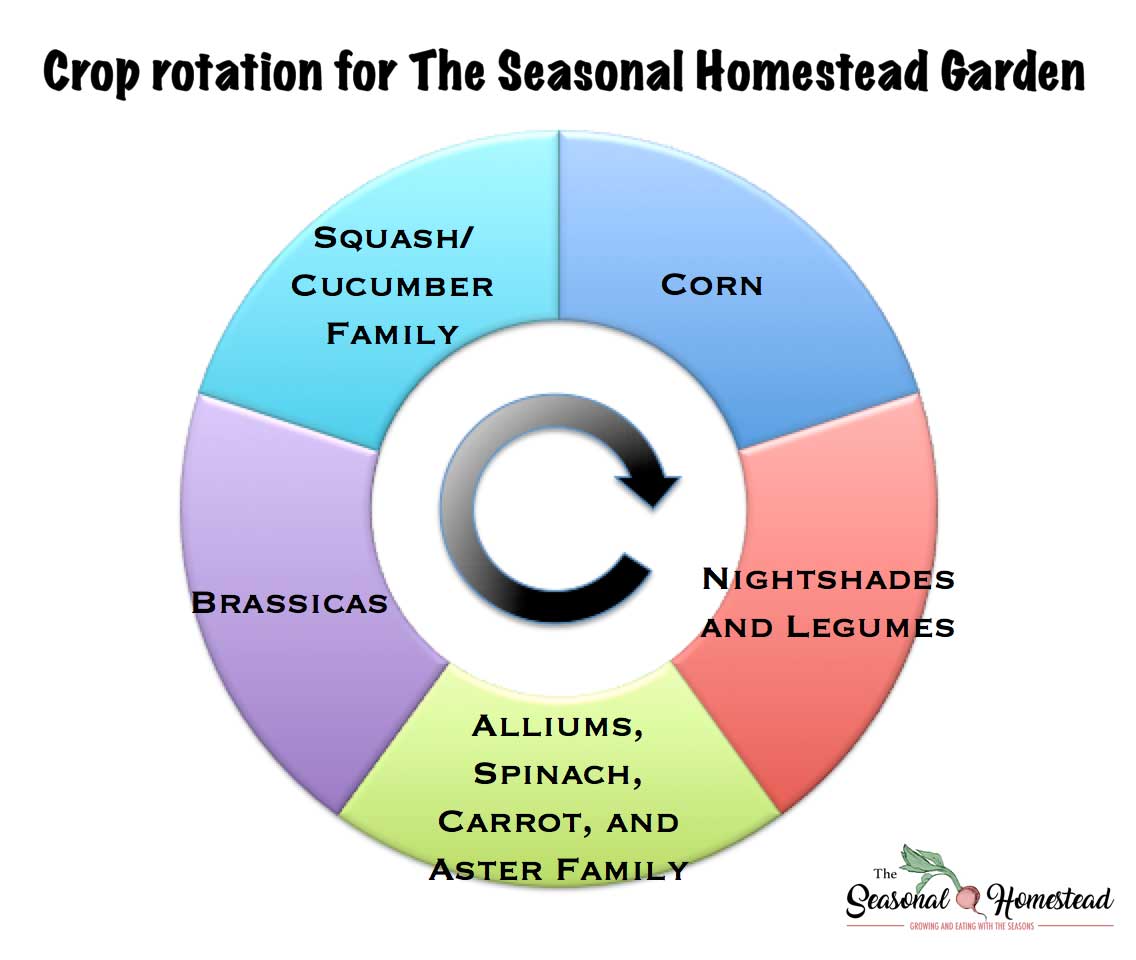 Crop Rotation Ideas for an Organic Vegetable Garden - The Seasonal