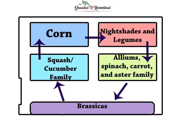 Crop-Rotation-Simple-Small-Garden1.jpg