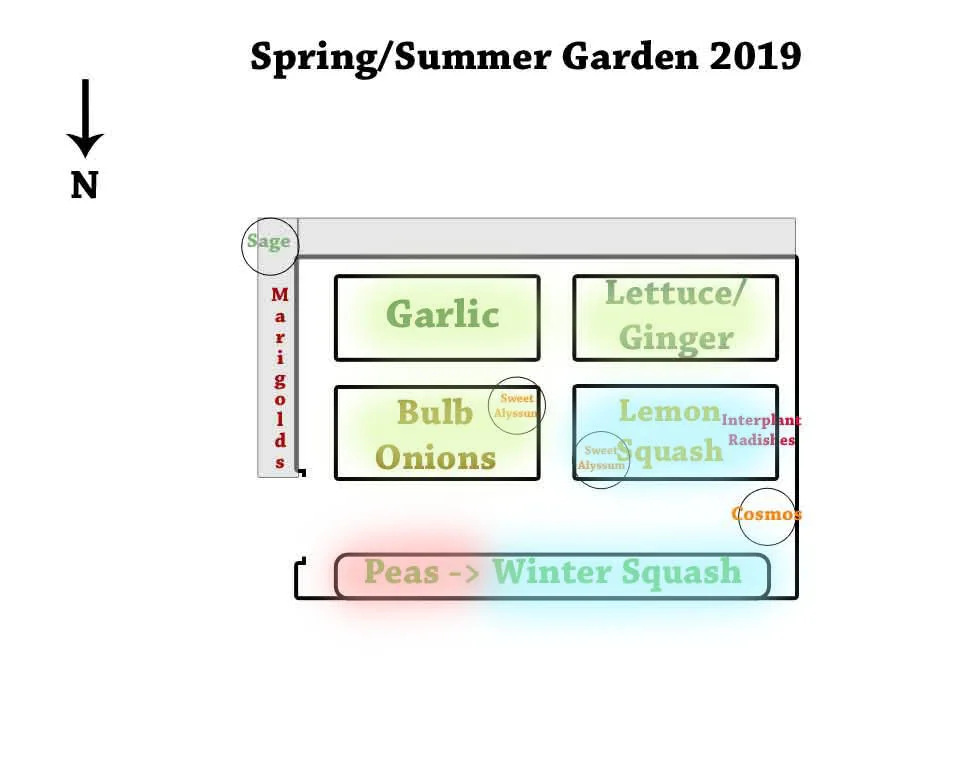 Spring-Summer-Small-Garden2019 Crop Rotation Colors.jpg