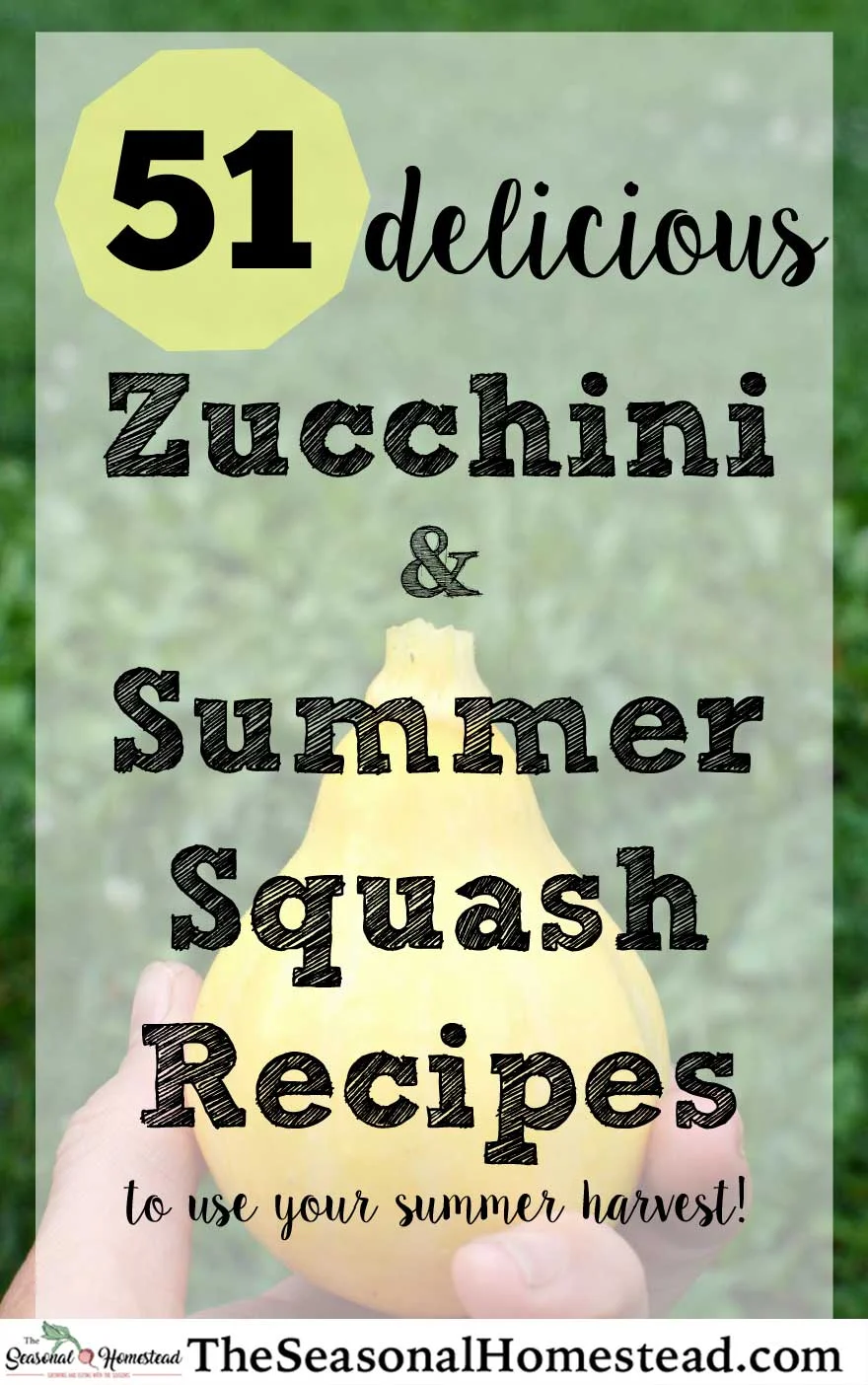 51-zucchini-and-Summer-Squash-Recipes.jpg