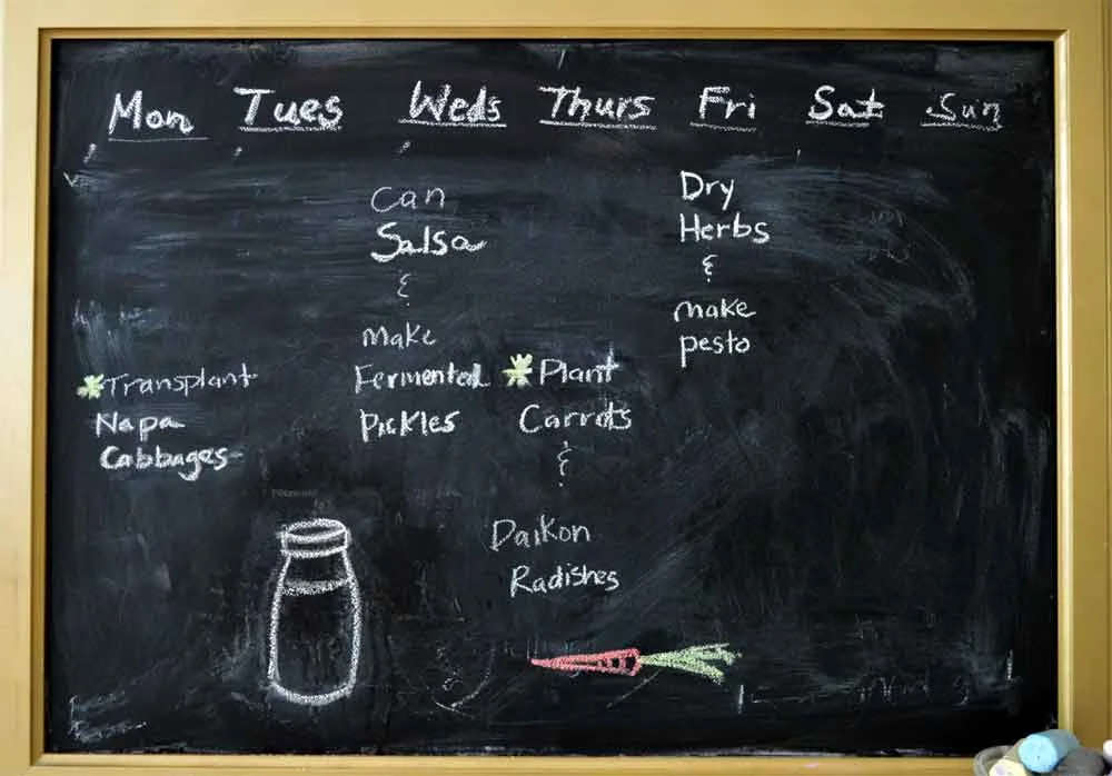My weekly garden planner.