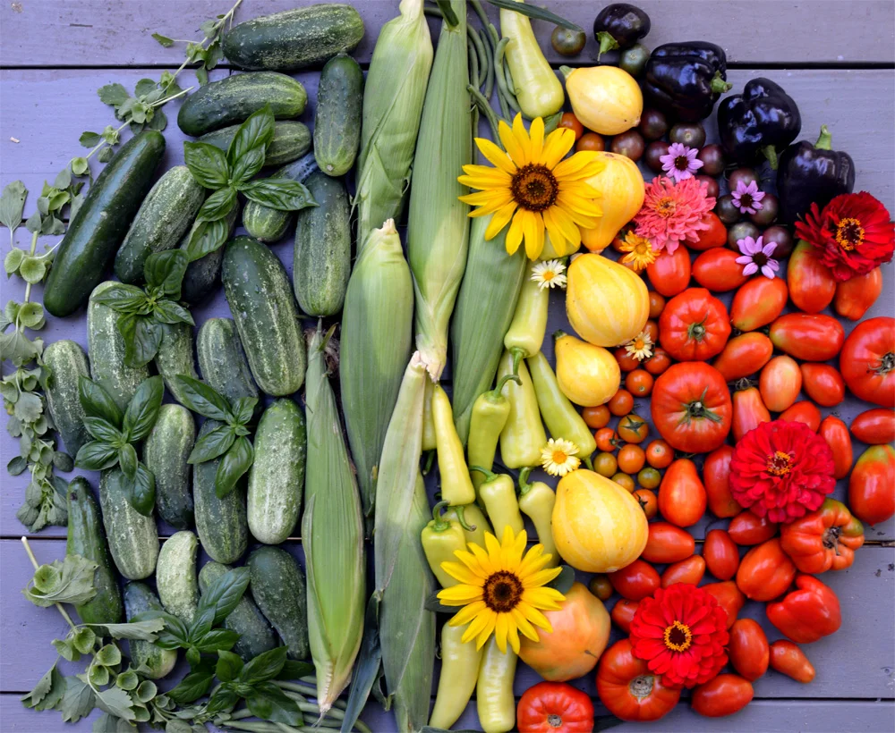 GardenRainbowJuly302019.jpg