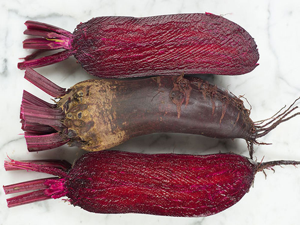 Photo Courtesy of Baker Creek Heirloom Seeds