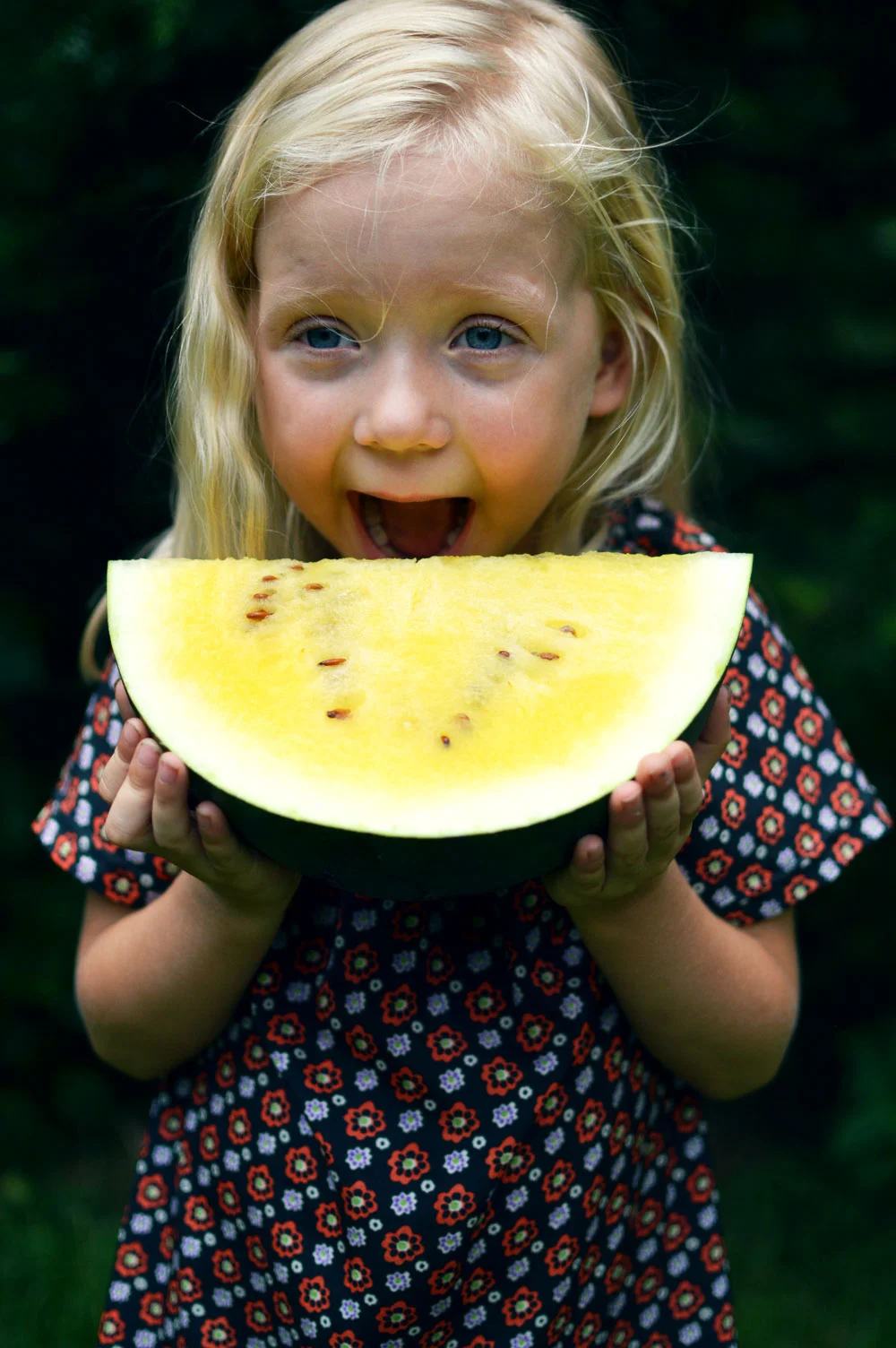 Janosik-Watermelon.jpg