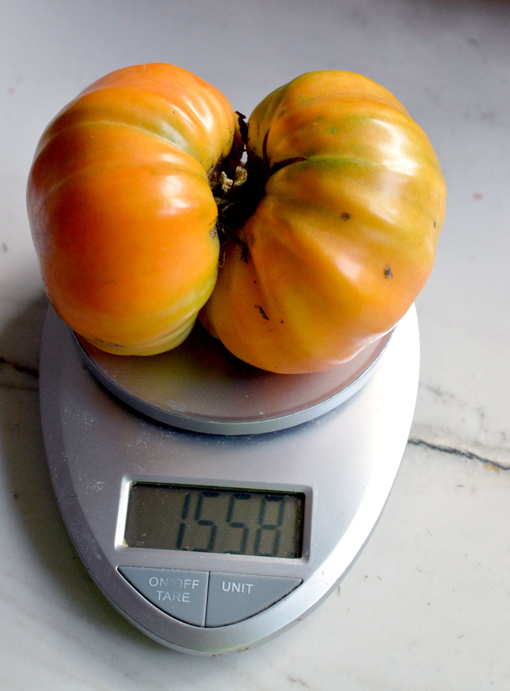  1.5 pound kellogs breakfast tomato 