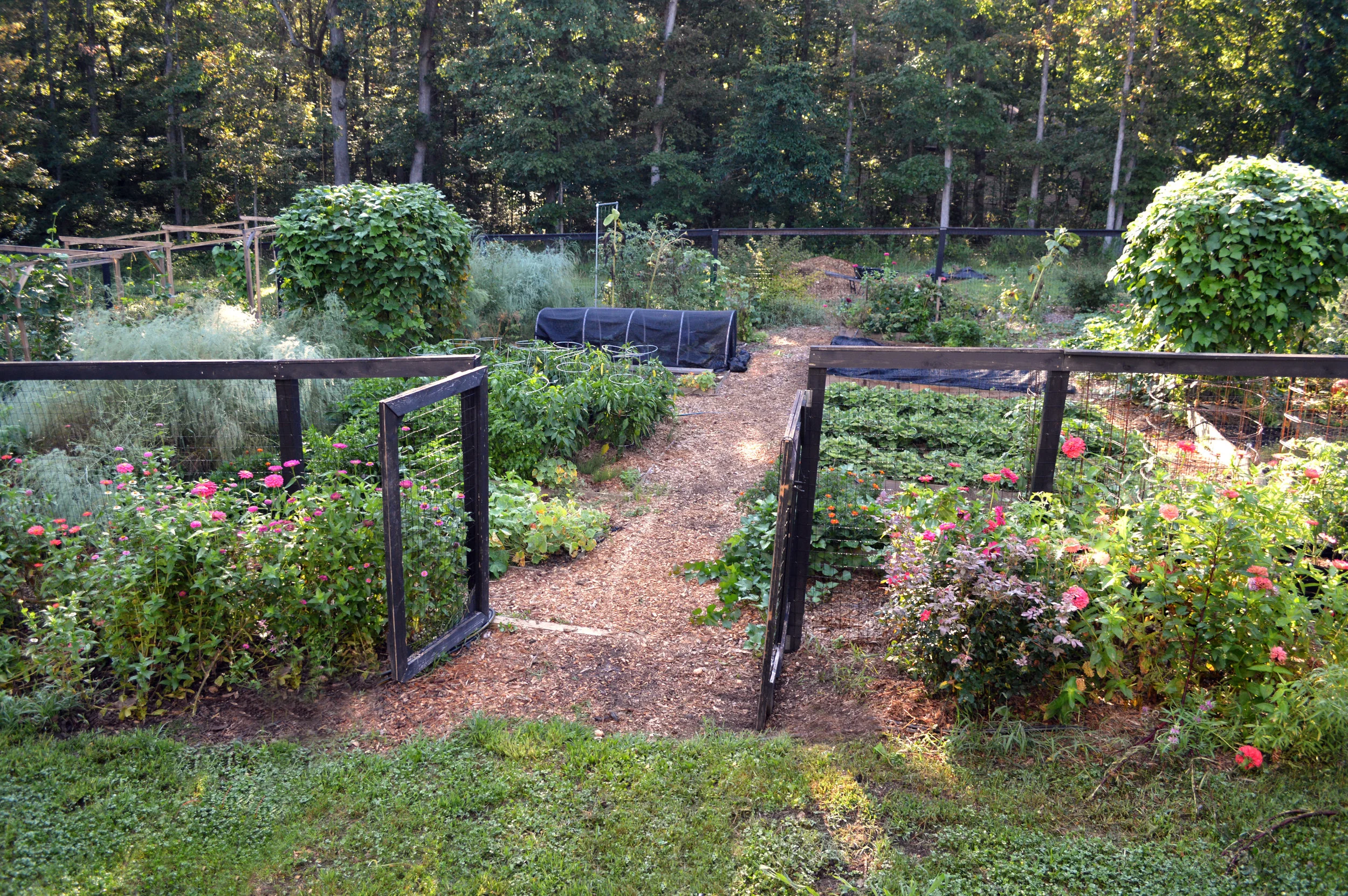 gardenAugust142019.jpg