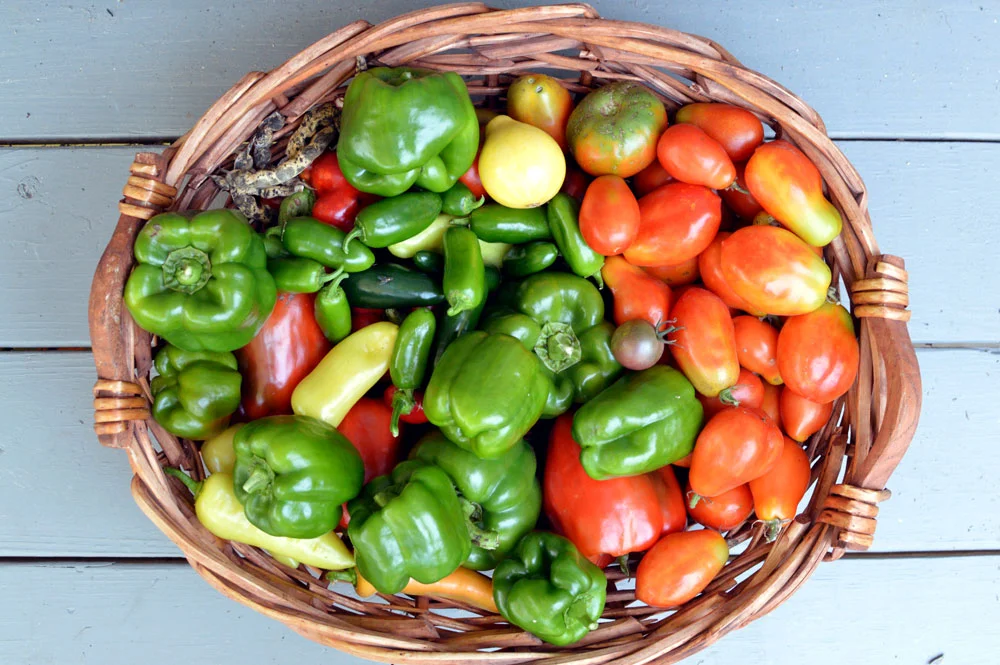 Harvest-basket-August-10ish.jpg