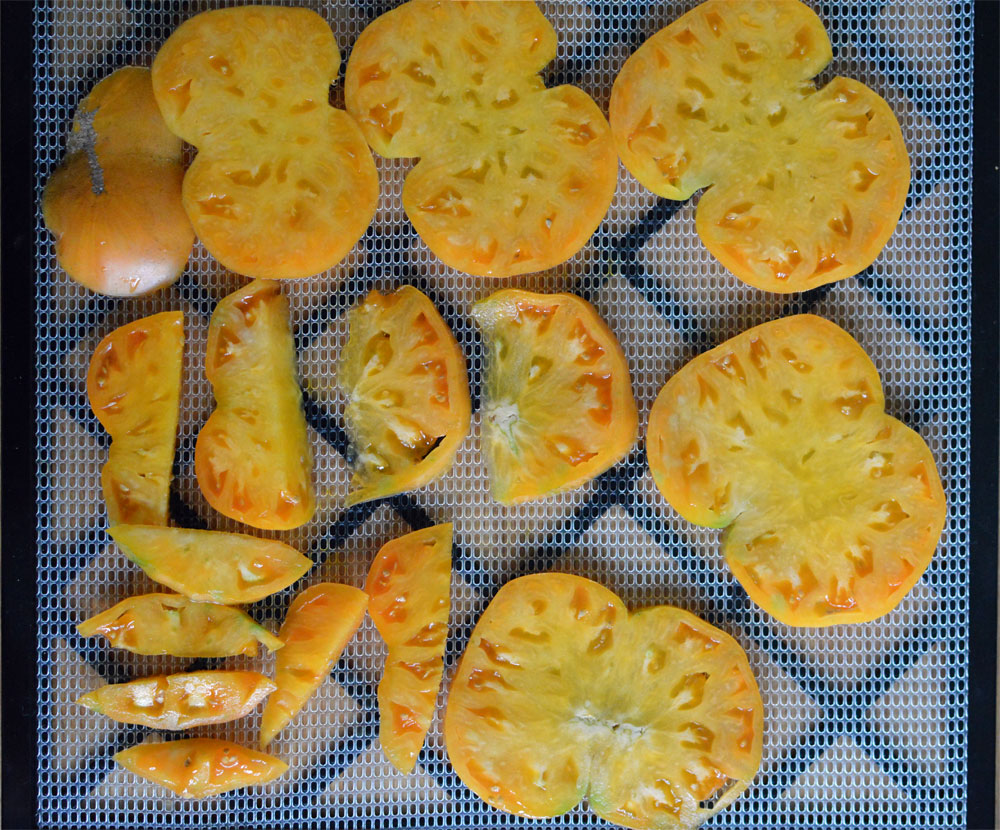 Dehydrating-Tomatoes.jpg