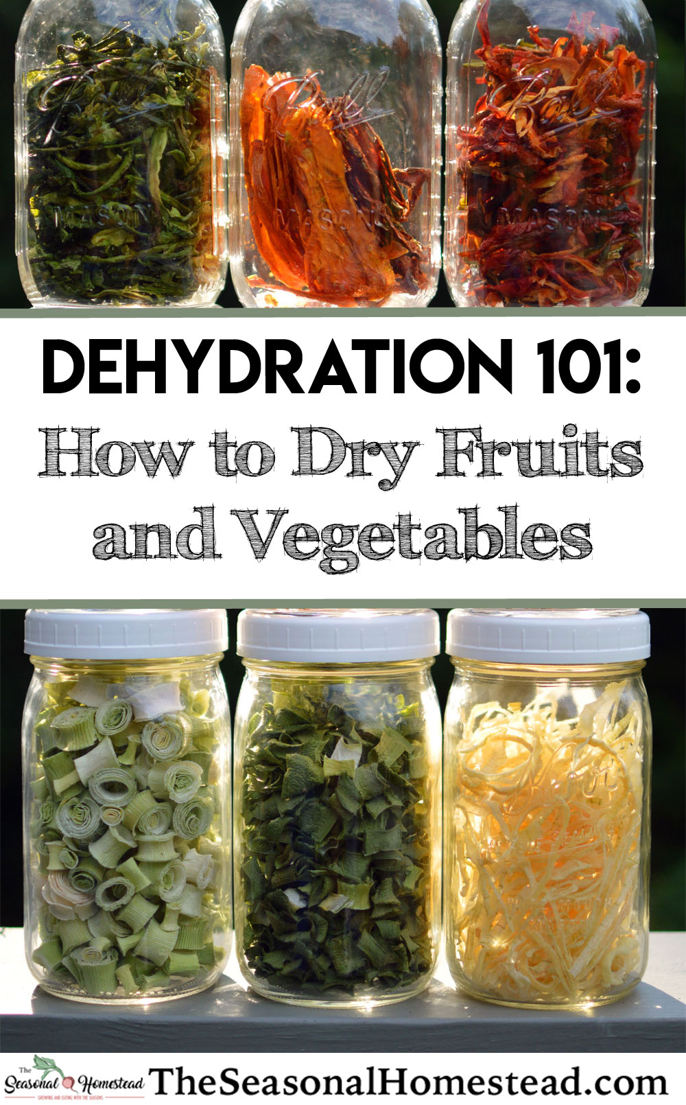 Best Temperature to Dehydrate Fruits and Vegetables - The